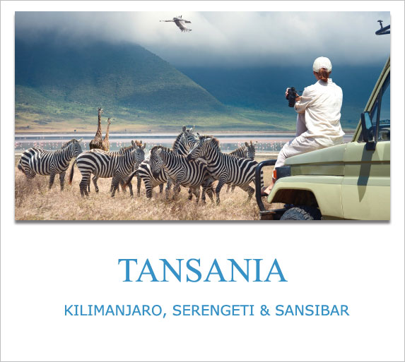 Tansania, Privatreisen, Private Safaris, Individuell, Luxusreisen, Lodges, Camps, Anbieter, buchen, Kilimanjaro, Trekking, Expedition, Scout Reisen